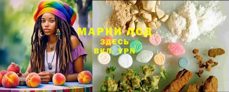 хочу   Реутов  Лсд 25 экстази ecstasy 